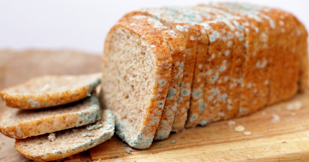 Prävention von schwarzer Schimmelbildung auf Brot