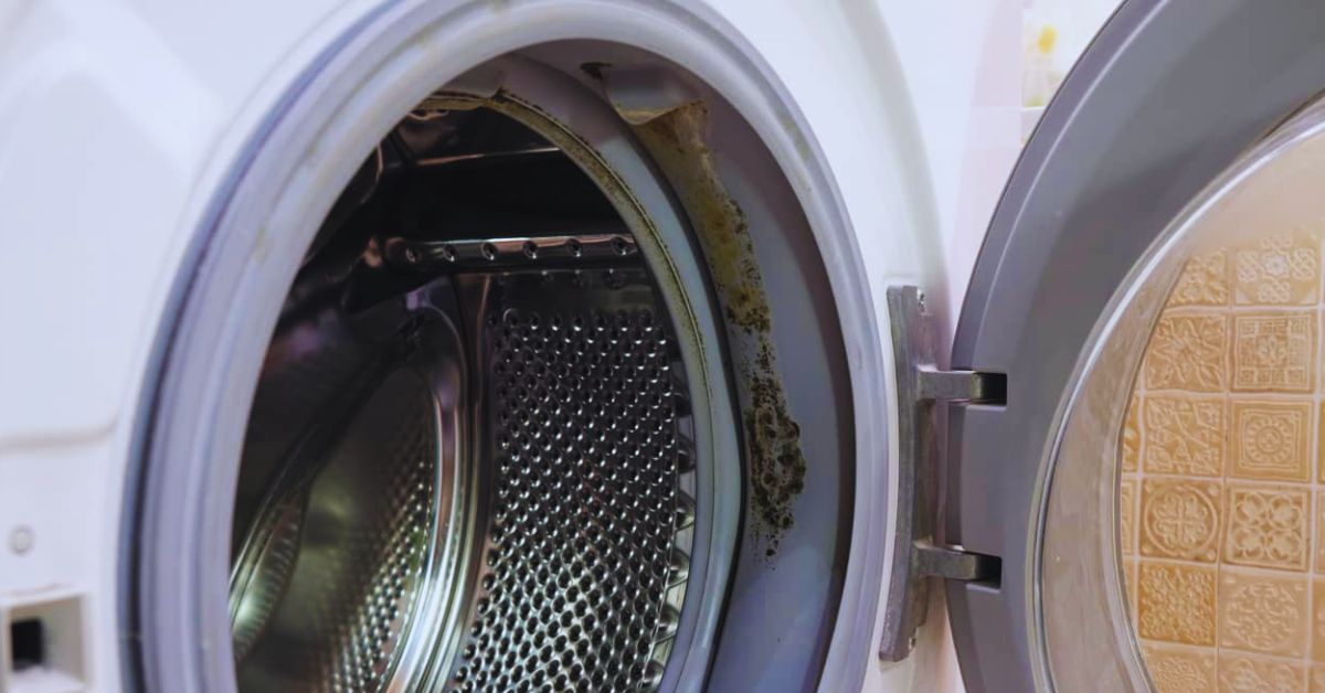 Ursachen für Schimmelbildung in der Waschmaschine